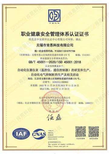 ISO45001（Chinese）